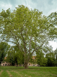 SLOT 2020 004 12-53-55.jpg