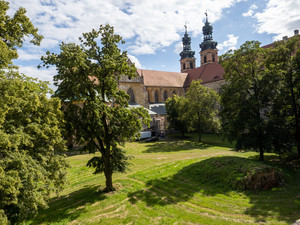 SLOT 2020 116 16-17-12.jpg